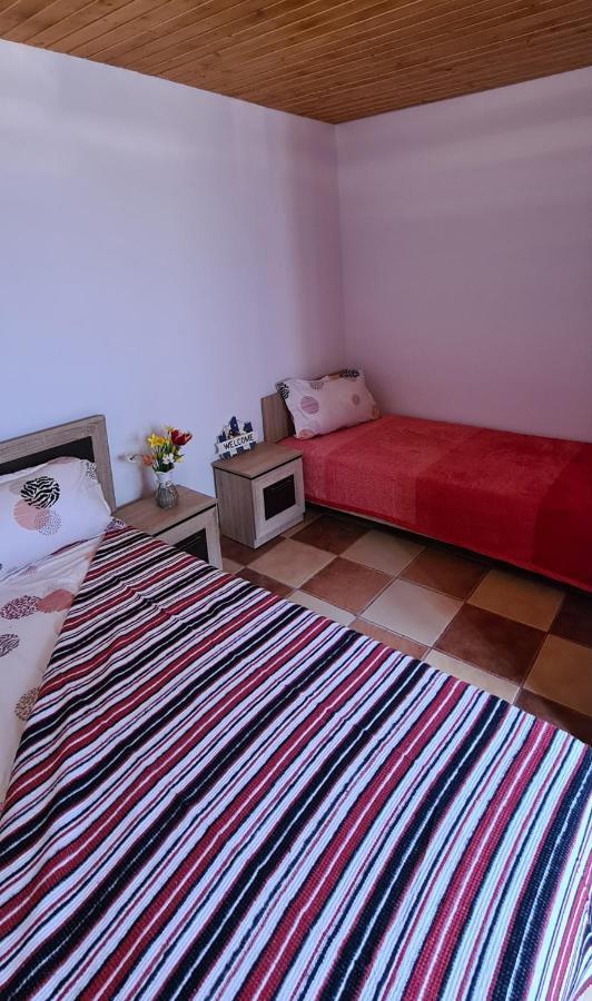 Casa Roko Sfântu Gheorghe Exterior foto